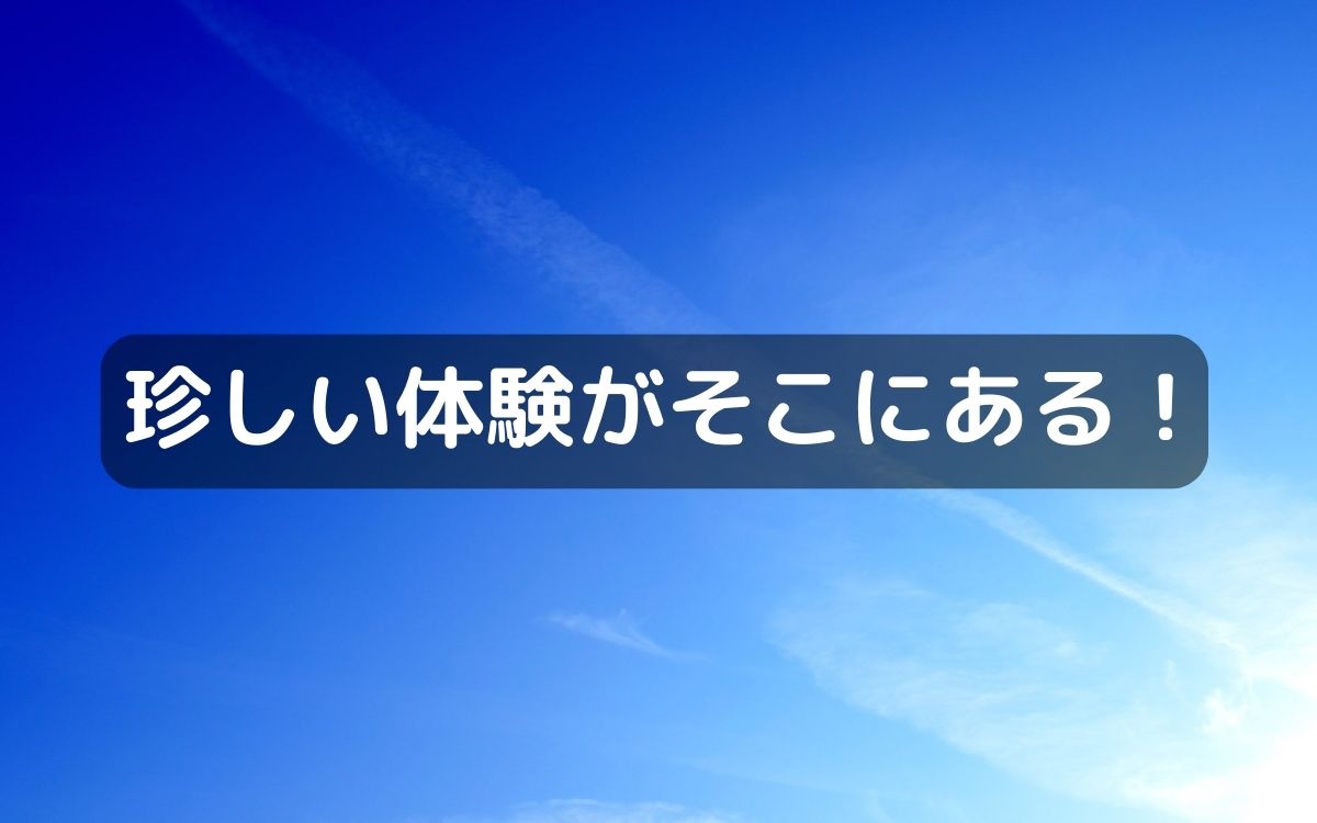 藤井寺市アイセルシュラホールで9/24(日)ANAのお仕事体験ができる『航空教室』が開催されます!