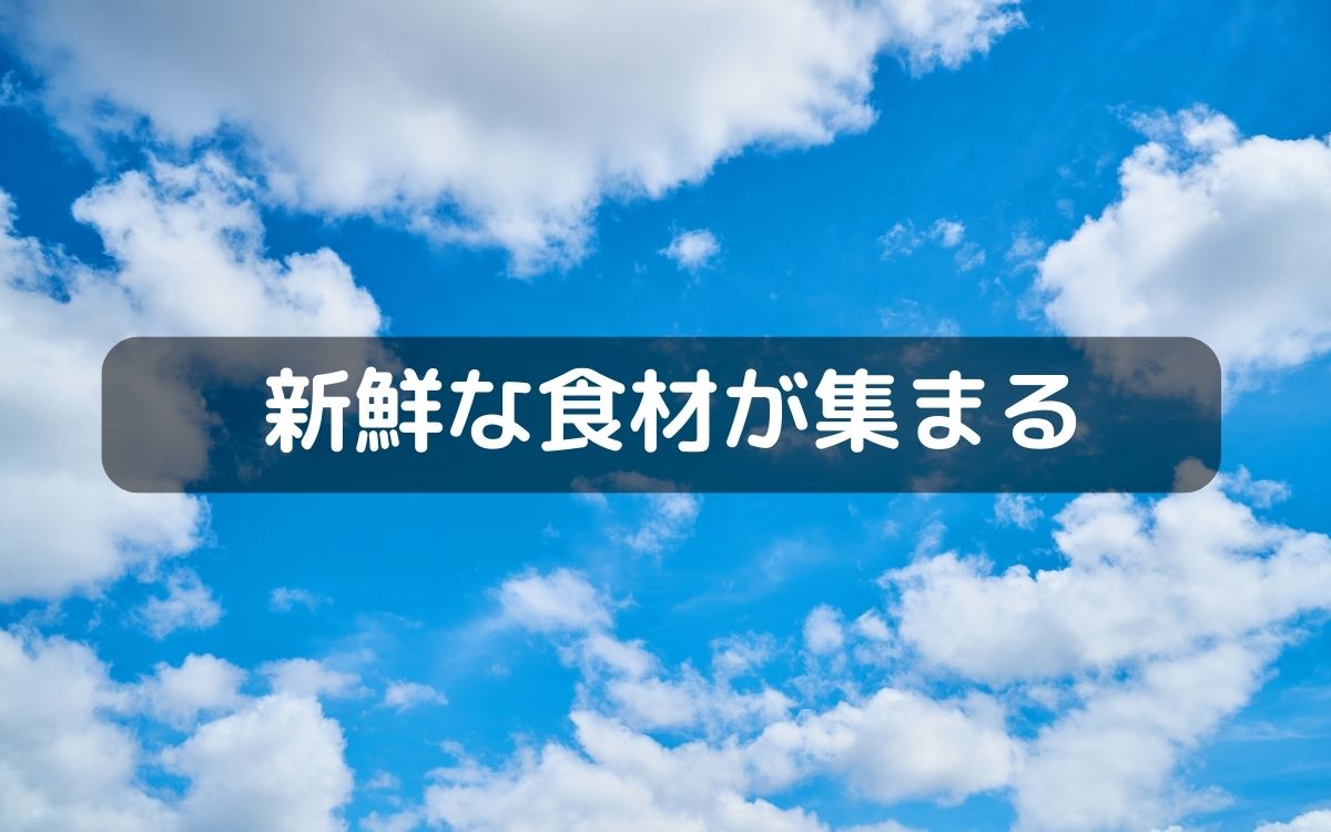 藤井寺市イオンショッピングセンターで9/6(水)新鮮がウリの『朝市』が開催されます!