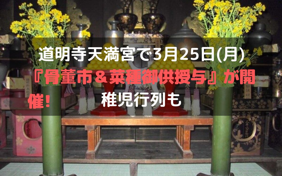 道明寺天満宮で3月25日(月)『骨董市＆菜種御供授与』が開催!稚児行列も
